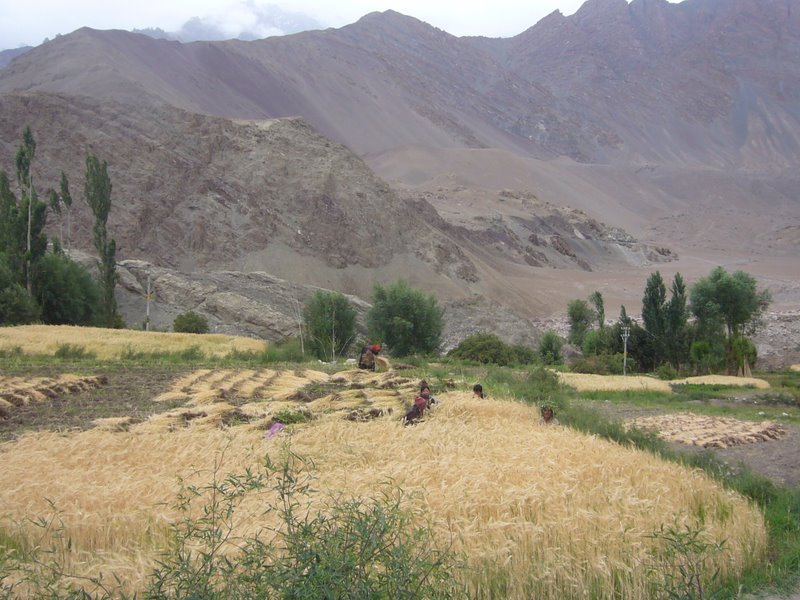 Travel - India - Ladakh - Trip to Alchi - Alchi to Saspol